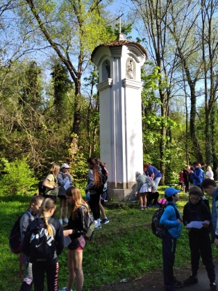 Obrázek v galerii