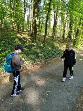 Obrázek v galerii