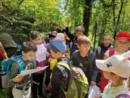 Obrázek v galerii
