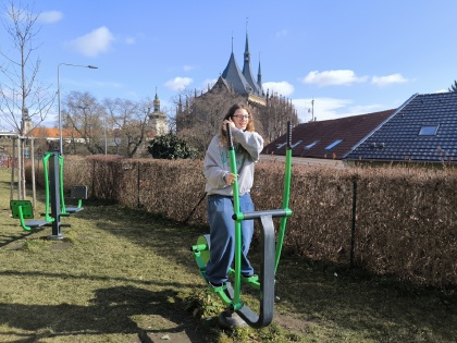 Obrázek v galerii