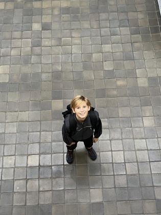 Obrázek v galerii