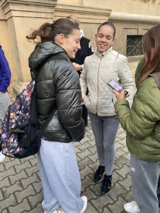 Obrázek v galerii