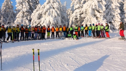 Obrázek v galerii