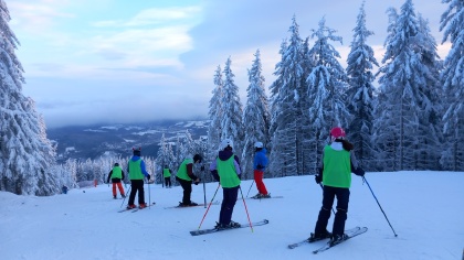 Obrázek v galerii