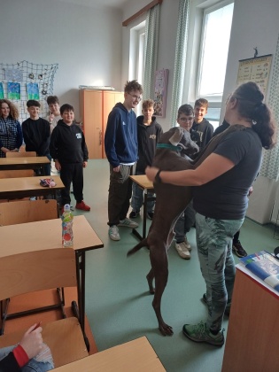 Obrázek v galerii
