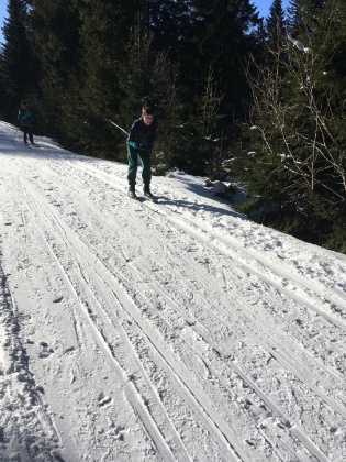 Obrázek v galerii