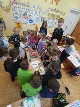 Obrázek v galerii