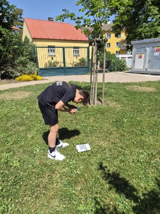 Obrázek v galerii
