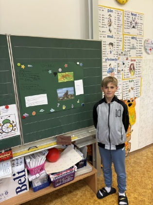 Obrázek v galerii