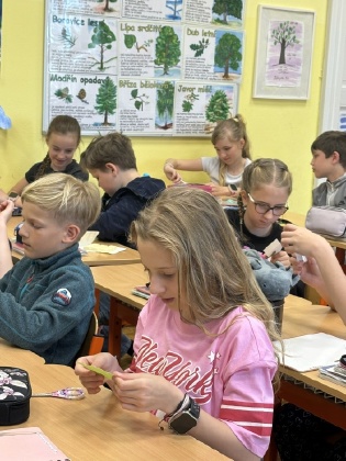 Obrázek v galerii