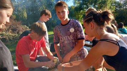 Obrázek v galerii