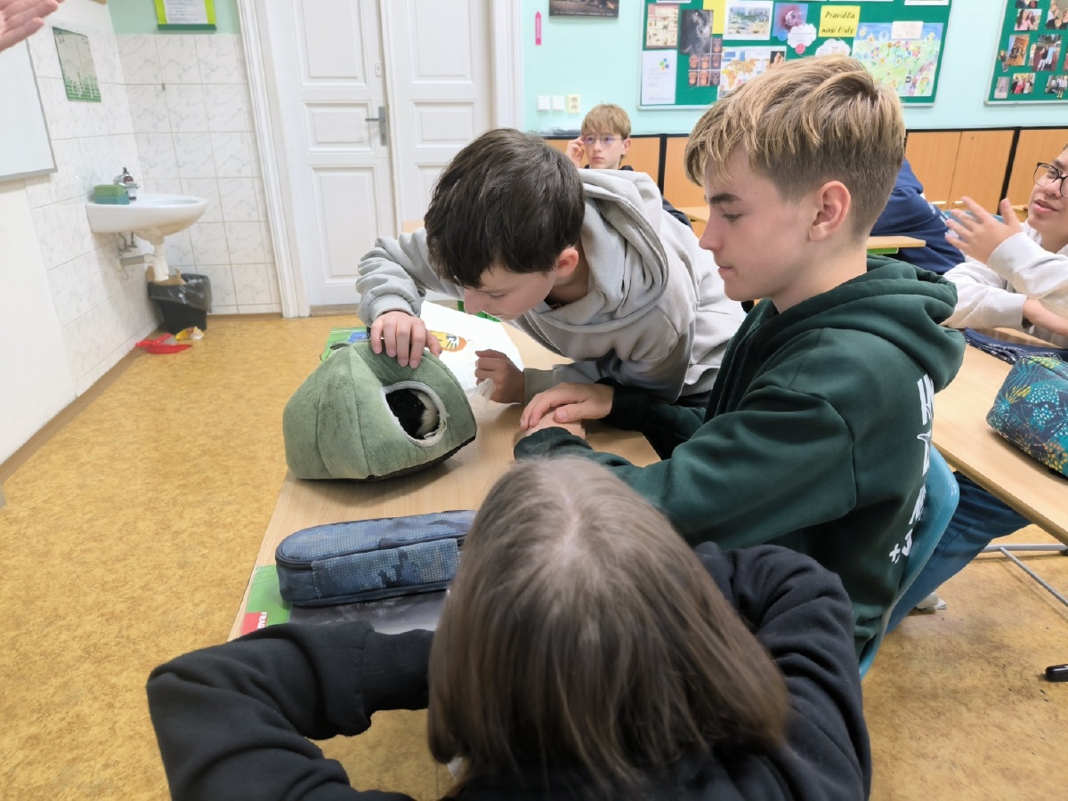 Ohlédnutí za prvním pololetím v hodinách přírodopisu v 8. ročnících
