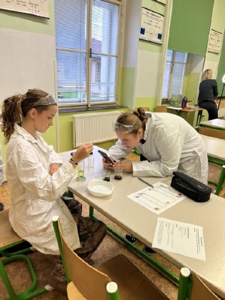 Obrázek v galerii