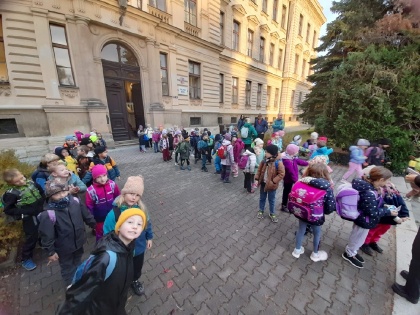 Obrázek v galerii