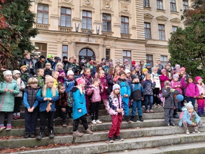 Obrázek v galerii