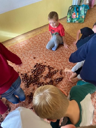 Obrázek v galerii
