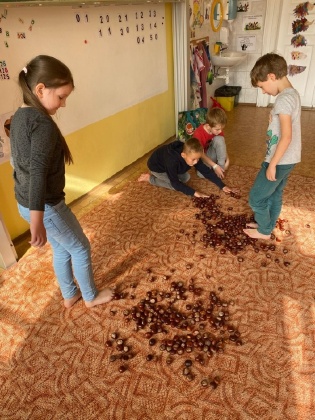 Obrázek v galerii