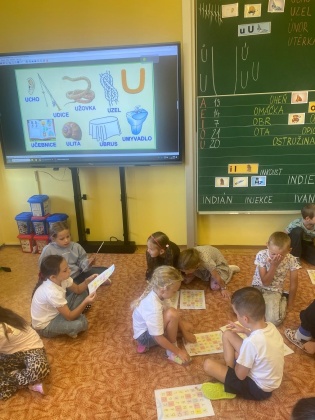 Obrázek v galerii