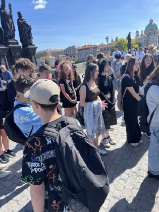Obrázek v galerii
