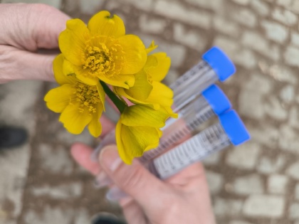 Sportem za poznáním