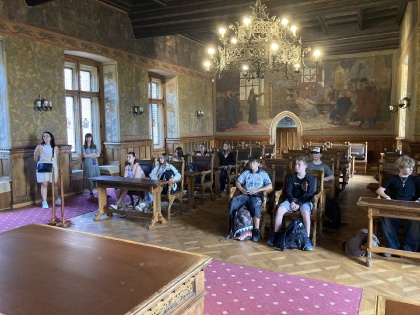 Obrázek v galerii