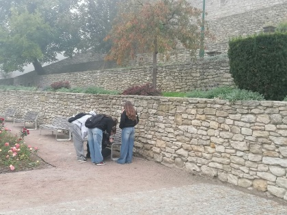 Obrázek v galerii