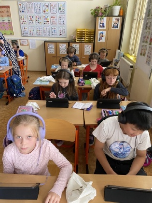 Obrázek v galerii