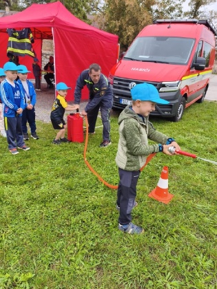 Obrázek v galerii