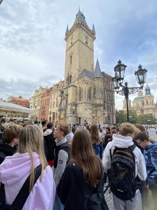 Obrázek v galerii
