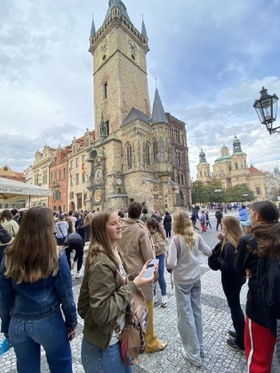 Obrázek v galerii