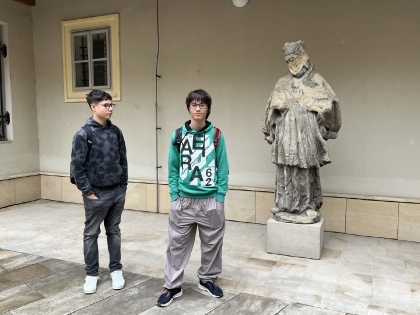 Obrázek v galerii