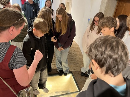 Obrázek v galerii