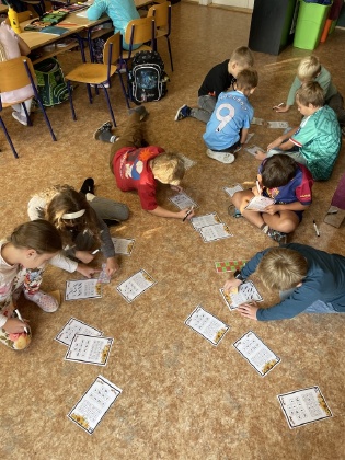 Obrázek v galerii