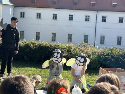 Obrázek v galerii