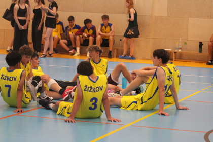 Obrázek v galerii