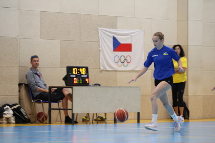 Obrázek v galerii