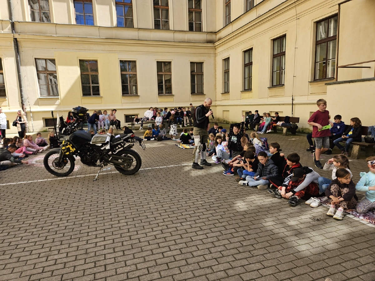 Dubnové křeslo pro hosta