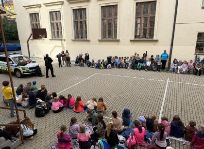 Obrázek v galerii