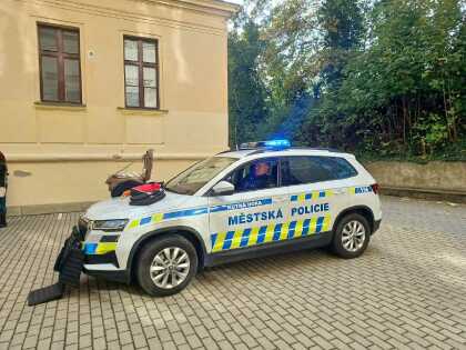 Obrázek v galerii