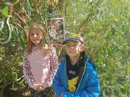Obrázek v galerii