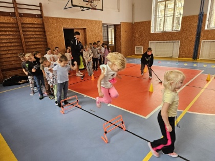 Obrázek v galerii