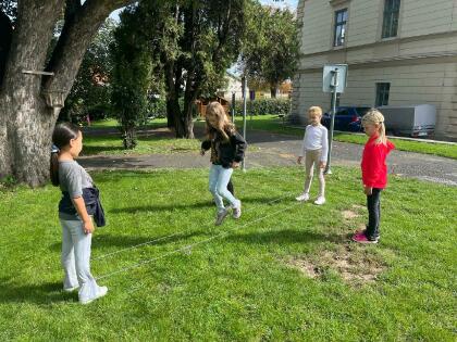 Obrázek v galerii