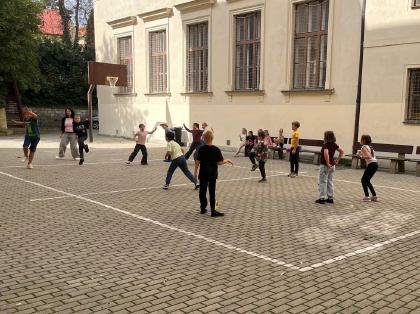 Obrázek v galerii